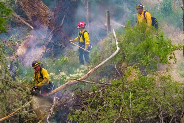 wildland firefighters